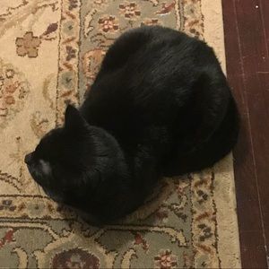 Meet your Posher, Chelsea